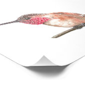 Wasserfarbe Hummingvogel Fotodruck (Ecke)