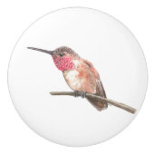 Wasserfarbe Hummingvogel Keramikknauf (Vorderseite)