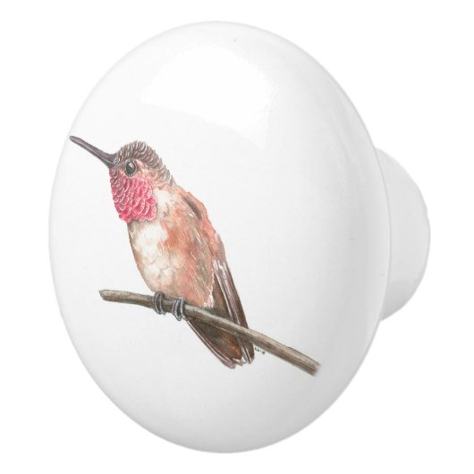 Wasserfarbe Hummingvogel Keramikknauf (Rechts)