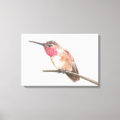 Wasserfarbe Hummingvogel Leinwanddruck (Vorderseite)