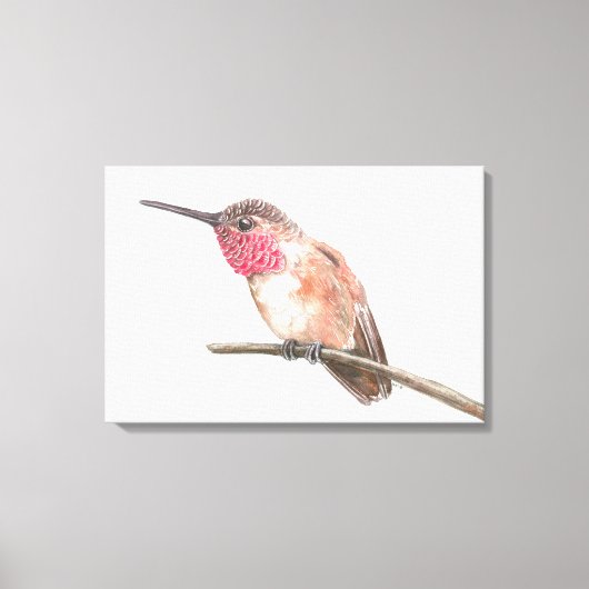 Wasserfarbe Hummingvogel Leinwanddruck (Vorderseite)