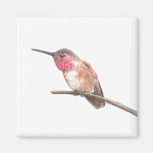 Wasserfarbe Hummingvogel Magnet (Vorne)