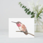 Wasserfarbe Hummingvogel Postkarte (Stehend Vorderseite)