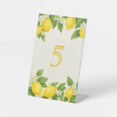 Wasserfarbe Lemon Birthday Sockelschild (Vorderseite)