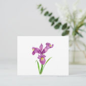 Wasserfarbe Lila Iris Botanische florale Kunst, Di Postkarte (Stehend Vorderseite)