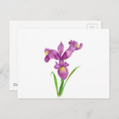 Wasserfarbe Lila Iris Botanische florale Kunst, Di Postkarte (Vorne/Hinten)