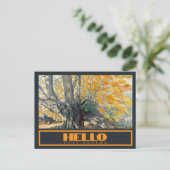 Wasserfarbe Majestic Eichenbaum im Herbst Postkarte (Stehend Vorderseite)