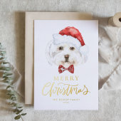 Wasserfarbe Niedlich Maltesisch Weihnachtsfest