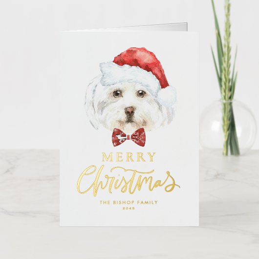 Wasserfarbe Niedlich Maltesisch Weihnachtsfest (Vorderseite)