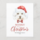 Wasserfarbe Niedlich Maltesische Weihnachtskarte W (Vorderseite)