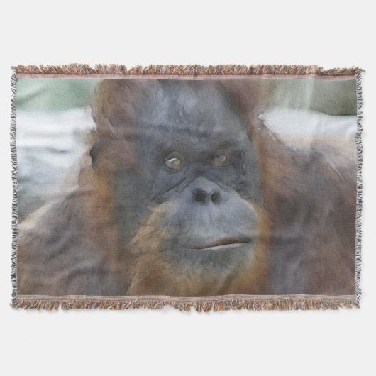 Wasserfarbe Orang Decke (Vorderseite)