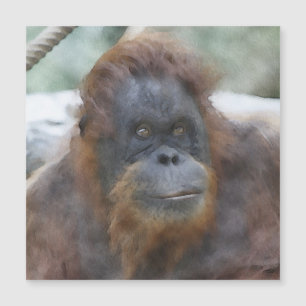 Wasserfarbe Orang Magnetkarte