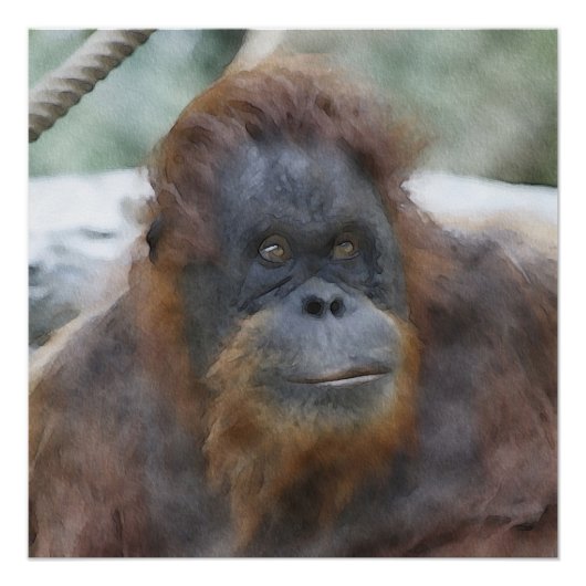 Wasserfarbe Orang Poster (Vorderseite)