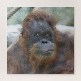 Wasserfarbe Orang Puzzle