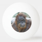 Wasserfarbe Orang Tischtennisball (Rückseite)