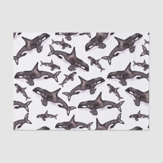 Wasserfarbe Orca Seidenpapier (Vorderseite)