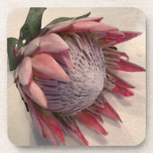 Wasserfarbe Protea Getränkeuntersetzer (Vorderseite)