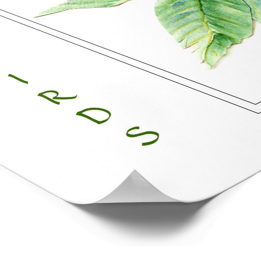 Wasserfarbe Rufous Hummingbird - Vogelsammlung Poster (Ecke)