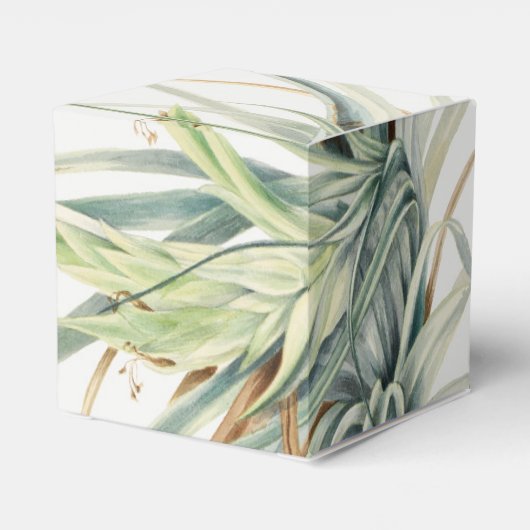 Wasserfarbe Rustikale, neutrale Boho Botanische Ho Geschenkschachtel (Rückseite)