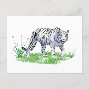 Wasserfarbe Schöner weißer Tiger Postkarte