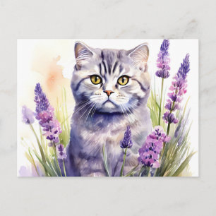 Wasserfarbe Schottische Folkkatze in Lavendelfelde Postkarte