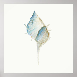Wasserfarbe Seashell Poster