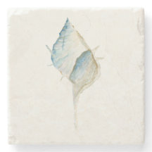 Wasserfarbe Seashell
