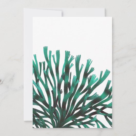 Wasserfarbe Seealgen Strand Hochzeit Save The Date (Rückseite)