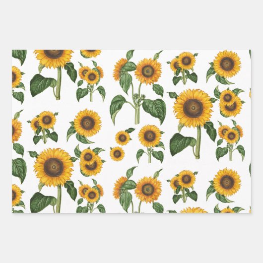 Wasserfarbe Sonnenblumen Botanische Blattpflanzen Geschenkpapier Set (Vorderseite 3)