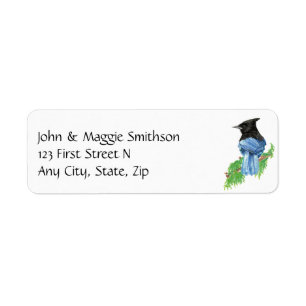 Wasserfarbe Stellar Jay Bird Nature