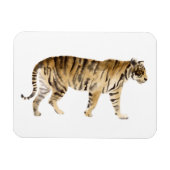 Wasserfarbe Tiger Wandern Magnet (Horizontal)