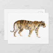 Wasserfarbe Tiger Wandern Postkarte (Vorne/Hinten)
