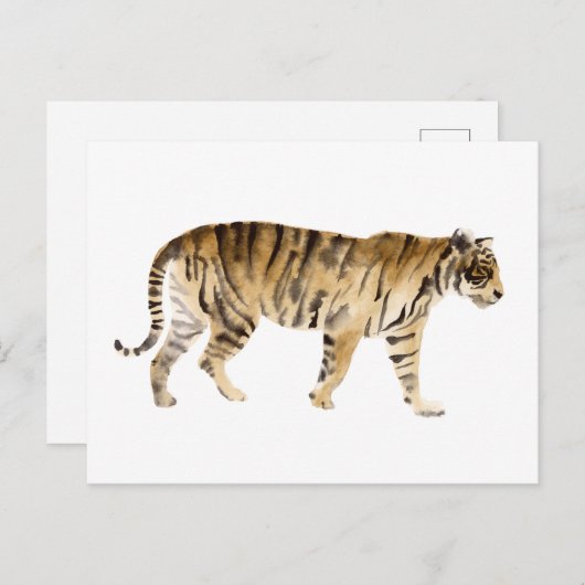 Wasserfarbe Tiger Wandern Postkarte (Vorne/Hinten)