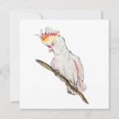 Wasserfarbe zeichnend Kakaduspapagei (Vorderseite)