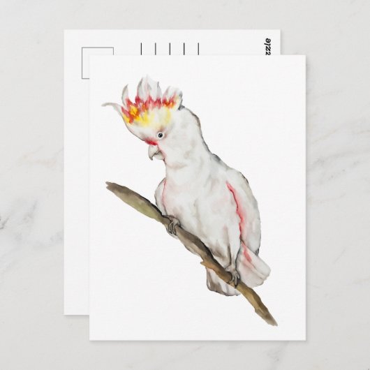 Wasserfarbe zeichnend Kakaduspapagei Postkarte (Vorne/Hinten)