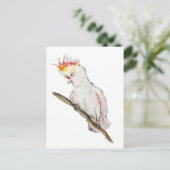 Wasserfarbe zeichnend Kakaduspapagei Postkarte (Stehend Vorderseite)
