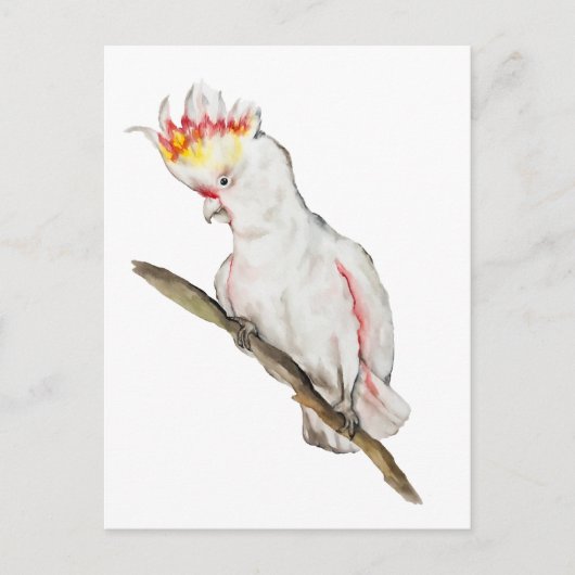 Wasserfarbe zeichnend Kakaduspapagei Postkarte (Vorderseite)