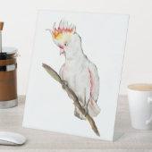 Wasserfarbe zeichnend Kakaduspapagei Sockelschild (In Situ)