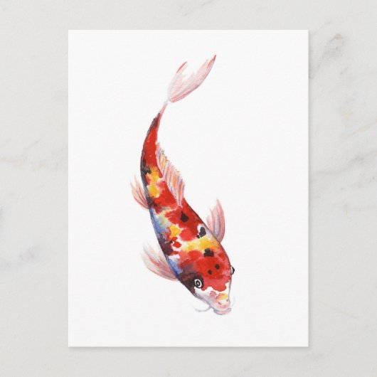 Wasserfarbe zeichnend Koi Carp Postkarte (Vorderseite)