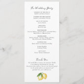 Wasserfarbe Zitrusfrüchte Grün Blumenzwiebelblume Programm (Rückseite)