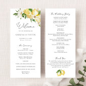 Wasserfarbe Zitrusfrüchte Grün Blumenzwiebelblume Programm