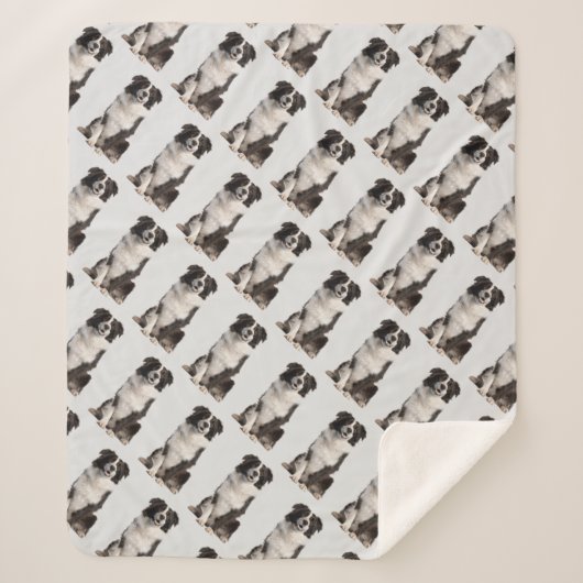 Wasserfarben-Border-Collie Dog Pet Sherpa Blanket Sherpadecke (Vorderseite)