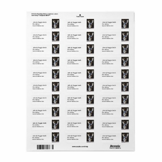 Wasserfarben-Donkey Art-Label (Vorne)