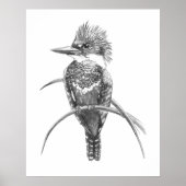 Wasserfarben-Eisvogel-Vogel-Naturkunst Poster (Vorne)