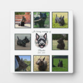 Wasserfarben-Gedenkstätte für Schottland und Blume Fotoplatte (Vorderseite)