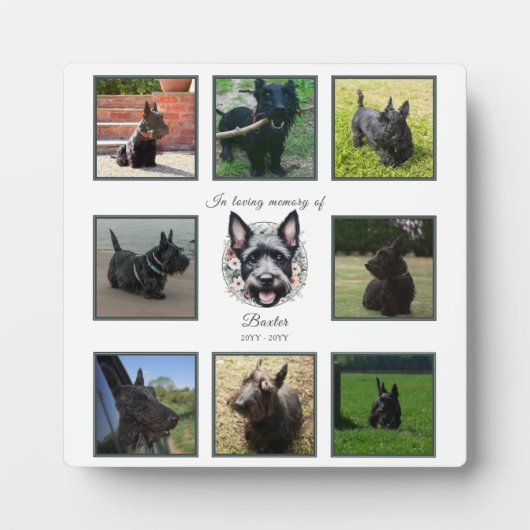 Wasserfarben-Gedenkstätte für Schottland und Blume Fotoplatte (Vorderseite)