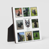 Wasserfarben-Gedenkstätte für Schottland und Blume Fotoplatte (Vorderseite)