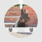 Wasserfarben-Gedenkstätte für Schottland und Blume Ornament (Rückseite)