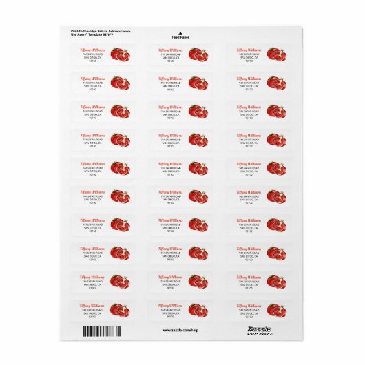 Wasserfarben-Granatapfel Rücksendeadresse (Vorne)