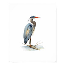Wasserfarben-Großer-Blau-Reiher-Vogel-Malerei